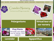 Tablet Screenshot of cramdennursery.co.uk